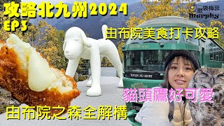 2024攻略北九州 EP3 I 由布院之森全解構 I 由布院一日遊 I 人氣可樂餅 I 超可愛貓頭鷹 I 溫泉小民宿  EyeBagsMurphy眼袋梅菲 [upl. by Avlasor]