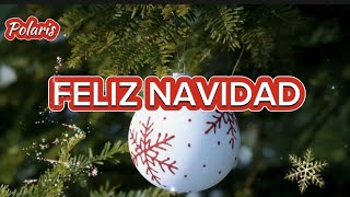 FELIZ NAVIDAD  Christmas Song lyrics  Polaris [upl. by Rahcir]