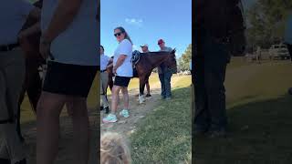 Italian mastiff pup siblings 🐶🐶 dogs puppies bigdog vlogger horseshows ￼ [upl. by Dwyer]