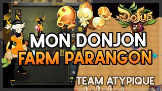 DOFUS  JE MATTAQUE AU DROPE PARANGON TECHNIQUES DJ SPAM EZ [upl. by Aubine794]