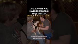 Another DOG ADOPTED and Saved from a ☠️ Shelter doglover dog rescuedog [upl. by Wauters]