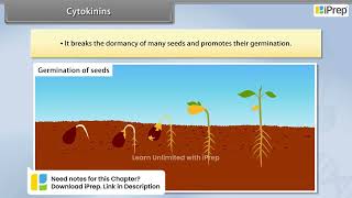 Cytokinins  Plant Growth and Development  Biology  Class 11th  iPrep [upl. by Noid]