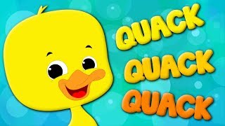 Ducks Song  Kids Nursery Rhyme  Original Song  Baby Rhymes  Video For Children [upl. by Esilanna]