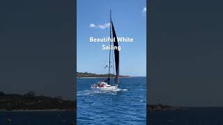 Beautiful White Sailing trending viralvideo travel summer season adventure vacation 500subs [upl. by Nike]