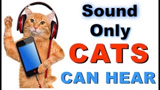 Sound Cats Can Only Hear  HQ [upl. by Wilbert]