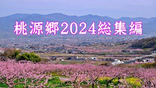 桃源郷2024総集編  Togenkyo 2024 omnibus [upl. by Romie819]