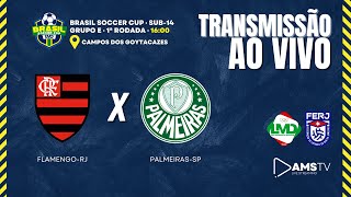 AO VIVO E COM IMAGENS FLAMENGORJ X PALMEIRASSP  BRASIL SOCCER CUP SUB14 [upl. by Leinehtan]