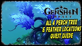 Genshin Impact A Particularly Particular Author Quest Guide All Perch Tree and Feathers [upl. by Varion471]