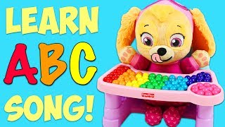 LEARN the ABC Song with Paw Patrol Baby Skye [upl. by Otrebireh]