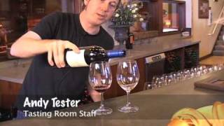 Seghesio Family Vineyards  Sonoma County Wine Tasting Room [upl. by Grier666]