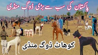 Kohat Dog Mandi Pakistan Ki Sub Se Mashoor Dog Markeet [upl. by Aicatsana]