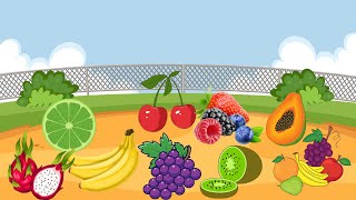 Fruity Wonderland Discovering Natures Palette [upl. by Nnahgem]