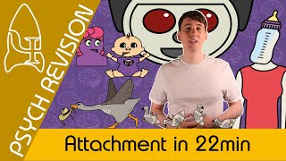 Attachment  AQA Psychology in 22 MINS [upl. by Atsuj735]