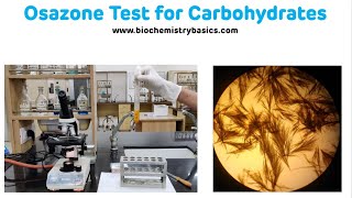 Osazone Test For Carbohydrates with Demonstration  Osazone Formation [upl. by Moorefield]