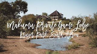 Makumu Private Game Lodge Kruger Park South Africa  Spectacular Game Drives amp Wellbeing [upl. by Elram]