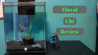 Fluval Chi 1 Year Review [upl. by Laoj]