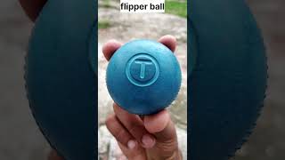 flipper ball 🧐🧐flipper tips shortvideos shorts youtubeshorts [upl. by Dinah]