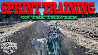 Sprint training with a traczer cart  Dryland Mushing Dog Powered Sports  motivational [upl. by Einegue]