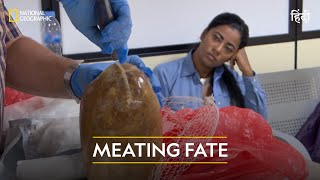 Meating Fate  Airport Security Madrid  हिन्दी  Full Episode  S4  E2  National Geographic [upl. by Valerye]