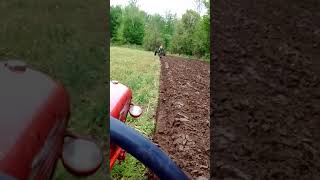 John Deere 520 plowing ahead of a 1948 Farmall Cub [upl. by Tenay922]