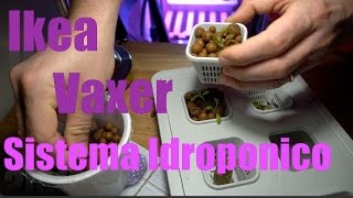 Coltura idroponica  Tutorial ikea Vaxer  Trapiantare dal germinatoio al sistema di coltura [upl. by Katzen]