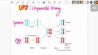 Uniparental DisomyP’Nut [upl. by Jarid]