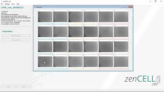 How to use the zenCELL owl  livecellimaging [upl. by Ybba889]