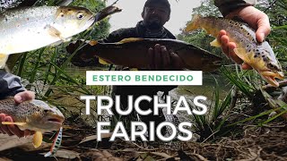 MARAVILLADO CON ESTE NUEVO SPOT DE PESCA 🎣🙌 PESCA EN PEQUEÑO ESTERO CON EQUIPO ULTRA LIGERO 🔥 [upl. by Erbma]