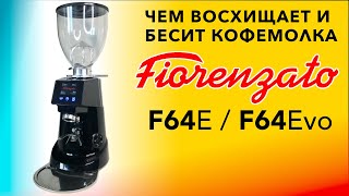 Обзор кофемолки Fiorenzato F64E  F64Evo [upl. by Haianeb]