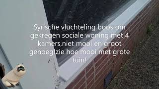 Syrische vluchteling krijgt grote sociale woning met 4 kamers maar is boosniet mooi en groot genoeg [upl. by Marybeth]