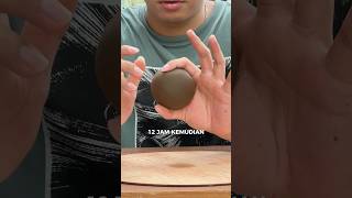 MENCOBA BUAT DORODANGO 😤 [upl. by Asaret]