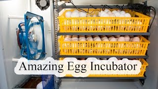 Egg Incubator Review and Operation [upl. by Maupin]