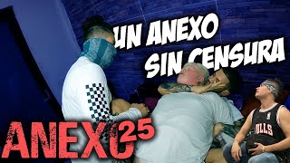 Anexo 25 │ Christian Meza [upl. by Enitsud551]