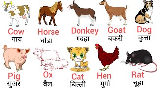 20 Domestic Animals Name In Hindi and English  Pet animals name [upl. by Airdnna]