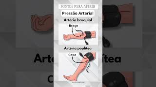 Pontos para aferir pressão arterial anatomy enfermagem shortvideo subscribe dicas shorts [upl. by Keefer461]