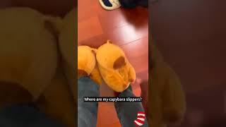 Cute and Warm Capybara Slippers Plush Shoes linkinbio cute capybara slippers [upl. by Dnalro]