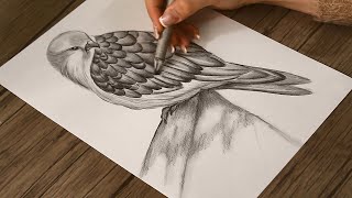 How to Draw a Falcon Step by step  Saker Falcon Sketch  Pencil Drawing [upl. by Marl]