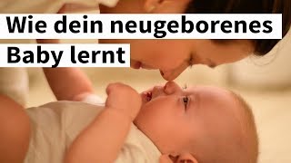 Wie dein neugeborenes Baby lernt  BABY BABY [upl. by Gare]