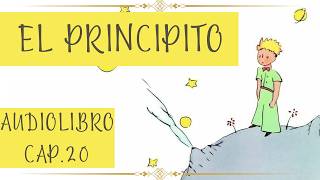 EL PRINCIPITO Cap 20 AUDIOLIBRO [upl. by Esoranna470]