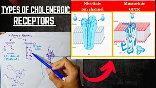 Cholenergic Receptors  Cholenergic System  ANS Pharmacology [upl. by Carolle605]