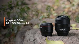 Yongnuo 50mm f14 VS Yongnuo 50mm f18 II  ¿Cuál es mejor para FOTOGRAFÍA de RETRATO  En ESPAÑOL [upl. by Nnaeinahpets282]