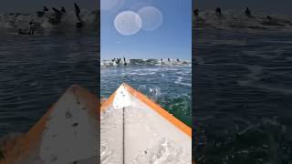 Snapper rocks traffic  pov surf surfing goprosurf beach ocean gopro [upl. by Ayita978]