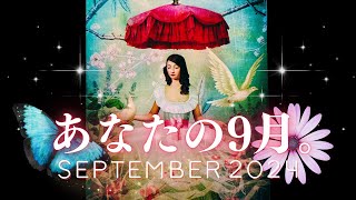 ➳❤︎ 9月のタロット占い  あなたの新しい月、全部チェック。〜仕事・恋愛・家族・友人・SNS 他 september 2024 秋分 乙女座新月 魚座満月 202492） [upl. by Eyaj]