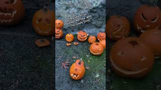 “Pumpkin Sentries at Pikol Park🎃Halloween Farewell pumpkinvictoriabc nature “ [upl. by Blackstock]