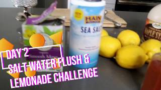 Sea Salt Flush amp Lemonade Diet Day 2 [upl. by Hephzibah494]