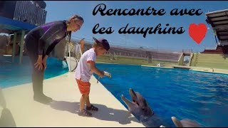 RENCONTRE AVEC DES DAUPHINS  Marineland [upl. by Innavoj499]