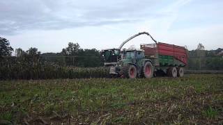 ensilage de sorgho 2012  avec ensileuse claas 940 [upl. by Lemcke512]