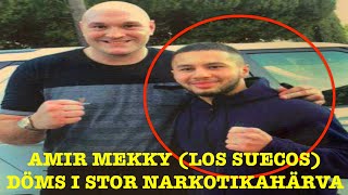 AMIR MEKKY LOS SUECOS DÖMD  HELA RÄTTEGÅNGEN [upl. by Natalia]