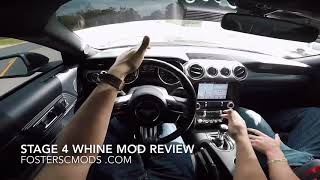 Roush whine mod review FosterSCMods Supercharger sound tube [upl. by Bach572]