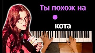 🔥 Хит TIkTok  zhanulka  ты похож на кота ● караоке  PIANOKARAOKE ● ᴴᴰ  НОТЫ amp MIDI [upl. by Karolina]